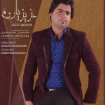 حسین حیدری