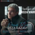 رضا رضوی