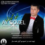 شمی محبی