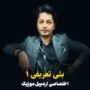 شاهین زین العابدین زاده