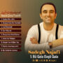 صادق نجفی