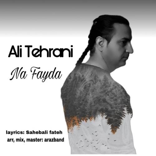 دانلود آهنگ جدید علی تهرانی به نام نه فایدا 