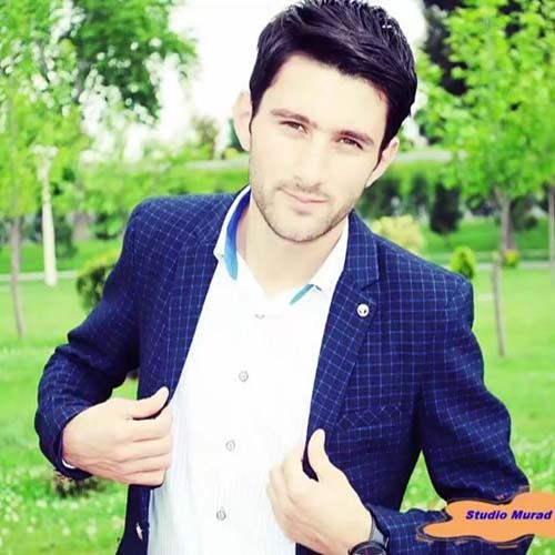 دانلود آهنگ جدید ایلکین چرکز اوغلو به نام سنی سودیم وفاسیز 