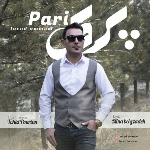 دانلود آهنگ جدید جواد عماری به نام پری 