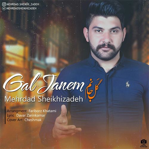 دانلود آهنگ جدید مهرداد شیخی زاده به نام گل جانیم 