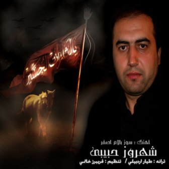 دانلود آهنگ شهروز حبیبی به نام سوسوز بالام اصغر