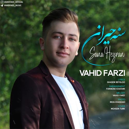 دانلود آهنگ جدید وحید فرضی به نام سنه حیران 