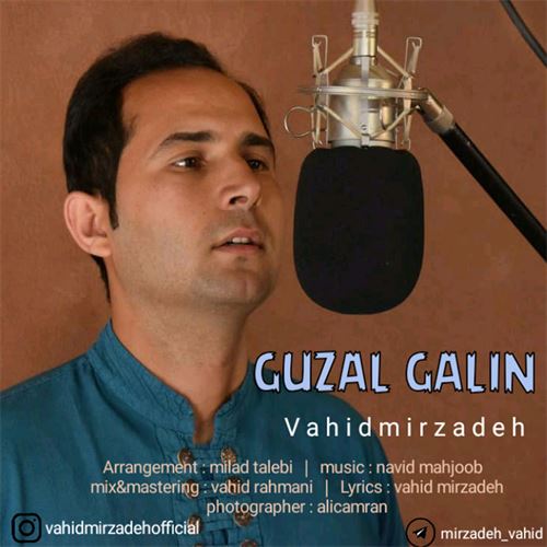 دانلود آهنگ جدید وحید میرزاده به نام گوزل گلین 