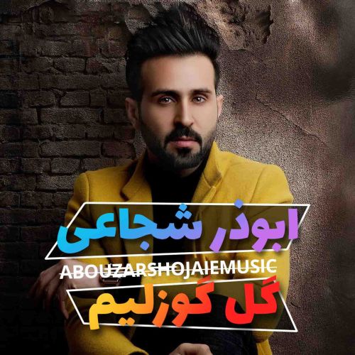 دانلود آهنگ ابوذر شجاعی به نام گل گوزلیم