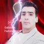 اکبر نامی
