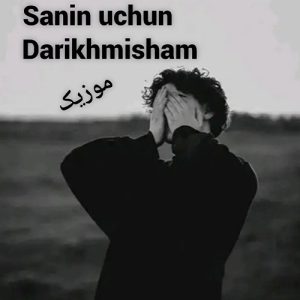 اکبر نامی