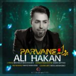 دانلود آهنگ ترکی علی هاکان به نام پروانه