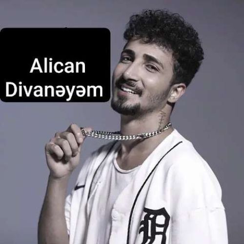 دانلود آهنگ ترکی عالیجان به نام دیوانیم