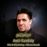 امیر سعادتی