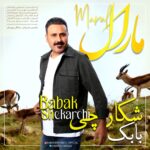 بابک شکارچی