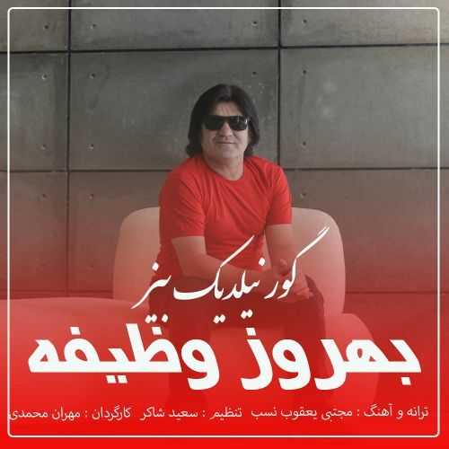 دانلود آهنگ بهروز وظیفه بنام گور نیلدیک بیز
