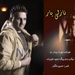 بهزاد بیداردل