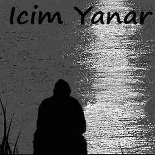 دانلود آهنگ جدید Ferdi Tayfur به نام اونوتورسون ایچیم یانار