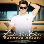 محمود مرادی