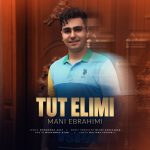 مانی ابراهیمی