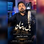 محمد عباسپور