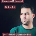 محمد محمدی