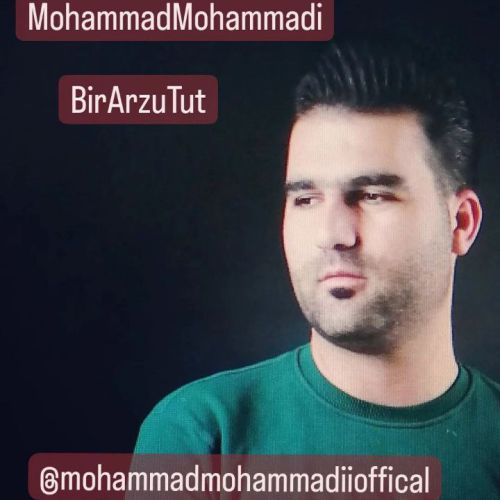 دانلود آهنگ بیر آرزو توت از محمد محمدی دانلود آهنگ بیر آرزو توت از محمد محمدی