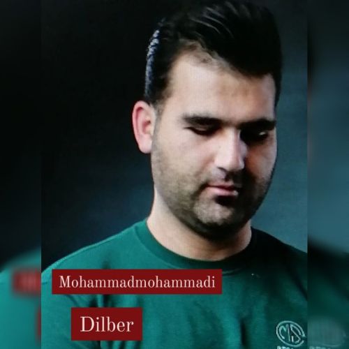 دانلود آهنگ دیلبر از محمد محمدی