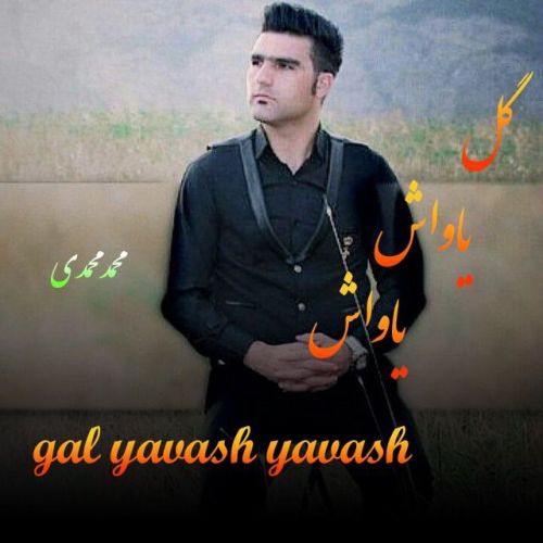 دانلود آهنگ محمد محمدی بنام گل یاواش یاواش