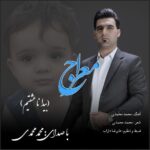 محمد محمدی