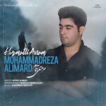 محمدرضا عالیمرد