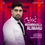 محمدرضا عالیمرد