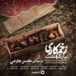 محسن چاوشی