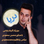 محسن محمودی
