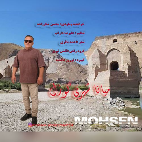 دانلود آهنگ محسن شکرزاده بنام میانه شهری گوزل