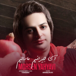 محسن یحیوی