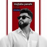 مجتبی پناهی