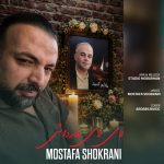 مصطفی شکرانی