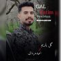 دانلود آهنگ امید مردانی بنام گل یاریم امید مردانی