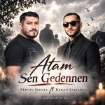 پروین صدالی