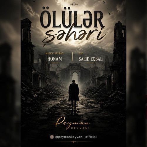 دانلود آهنگ پیمان کیوانی بنام اولولر شهری