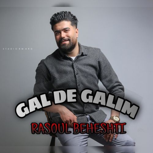 دانلود آهنگ ترکی رسول بهشتی به نام گل ده گلیم
