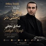 صادق نجفی