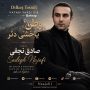 صادق نجفی