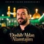 سید طالع برادیگاهی