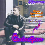 شایان بیگ محمدی