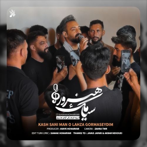 دانلود آهنگ سیامک هنرور بنام کاش سنی دانلود آهنگ سیامک هنرور بنام کاش سنی