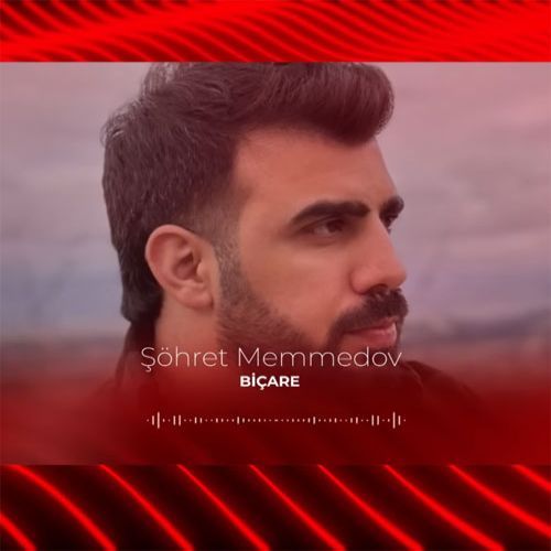 دانلود آهنگ بیچاره از شهرت ممدوف