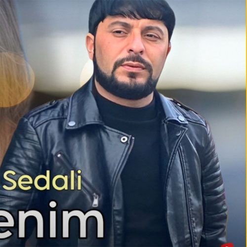 دانلود آهنگ دلیم منیم از تورال صدالی