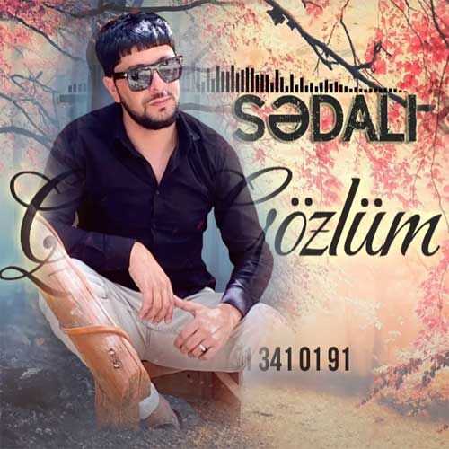 دانلود آهنگ جدید تورال صدالی به نام قارا گوزلوم
